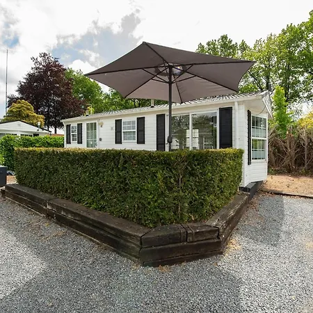 80, Midden In De - Airco! * אויסטרוויק